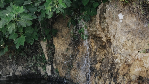 טקס מעין חנוכת המחטים (227).jpg