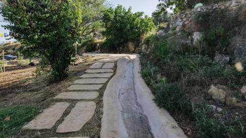 טקס מעין חנוכת המחטים (225).jpg